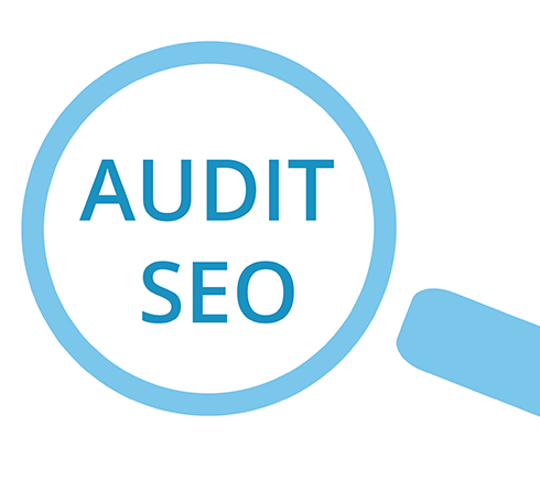 Comment Faire un audit SEO ?