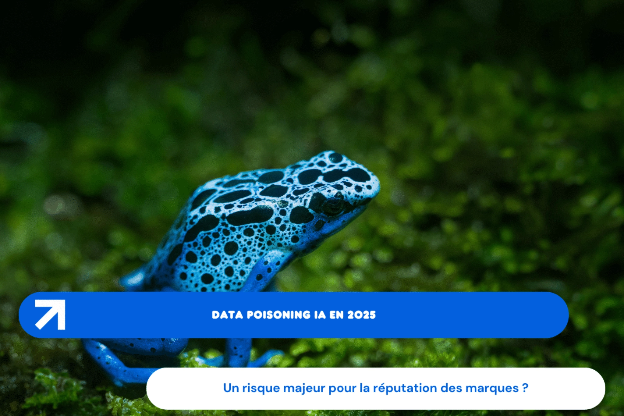 IA-poisening-risk-front