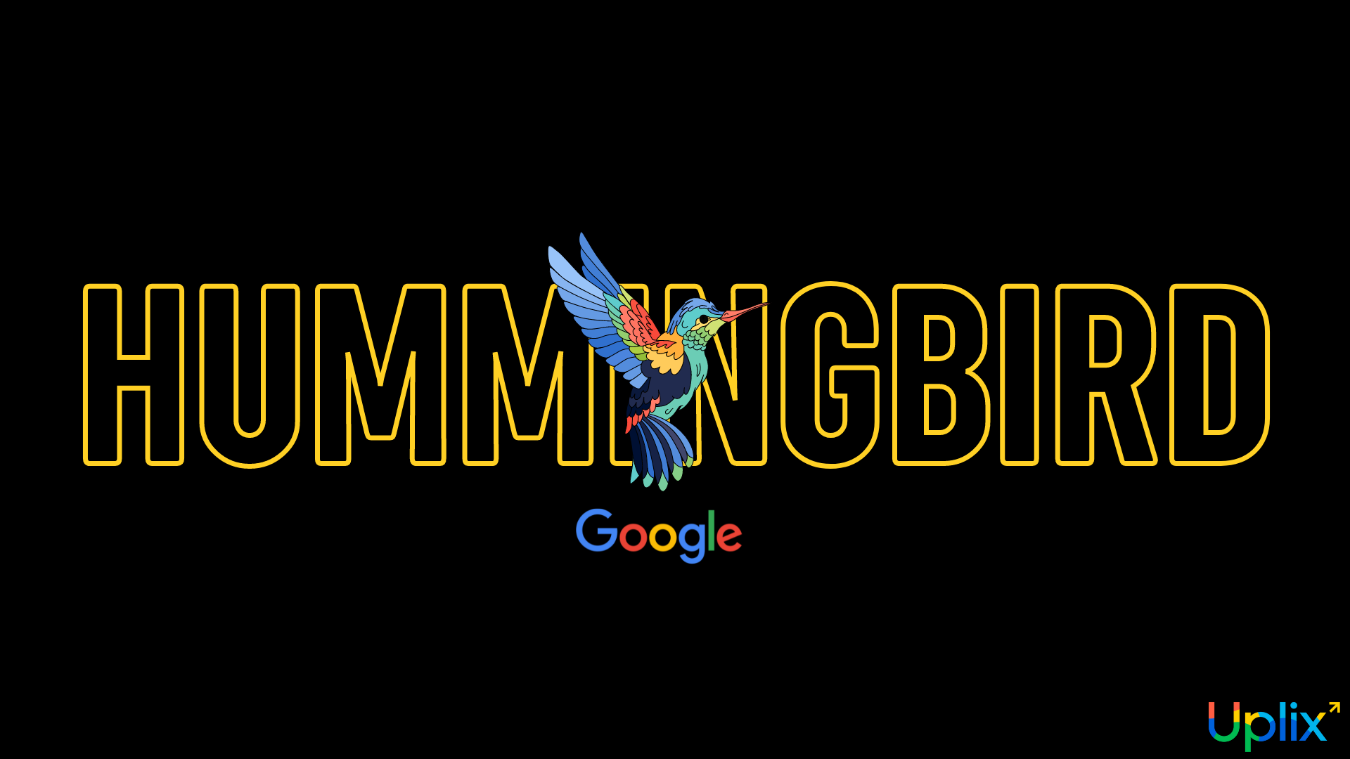 HUMMINGBIRD GOOGLE 