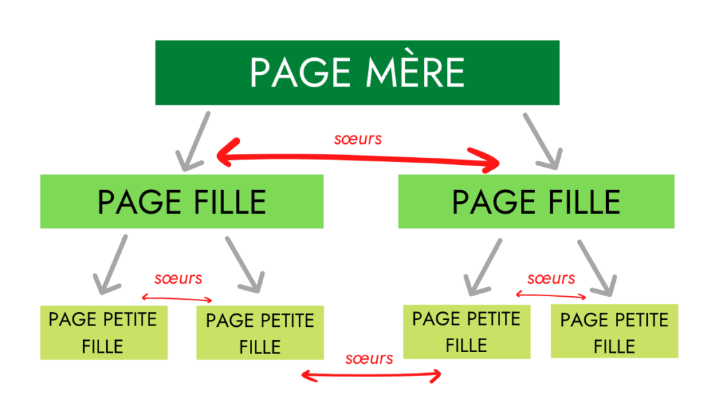 Relation entre les pages d'un cocon sémantique