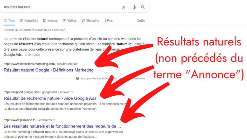 Résultats Naturels SEO