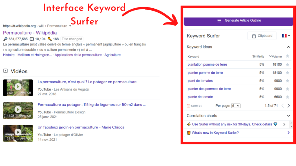 Interface Keyword Surfer