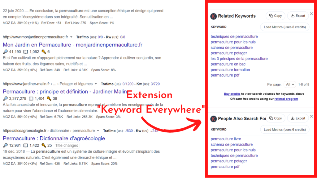 Keyword Everywhere pour trouver des mots-clés