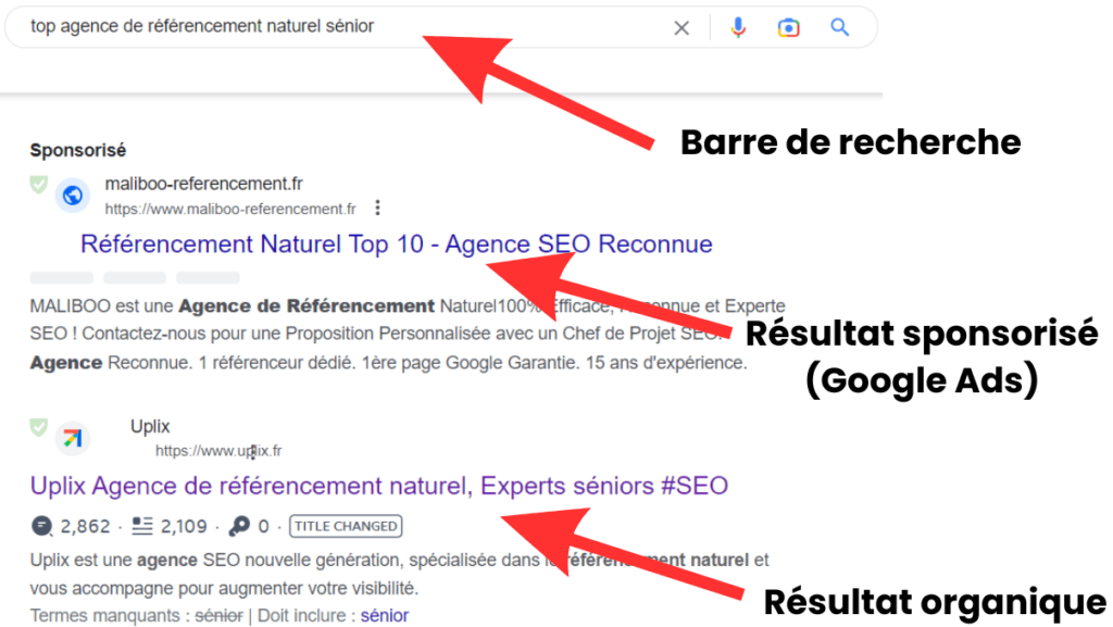 Exemple de SERP