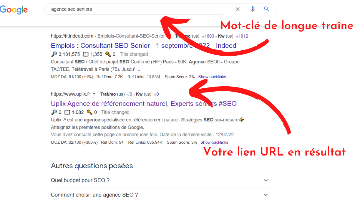 Exemple de SERP