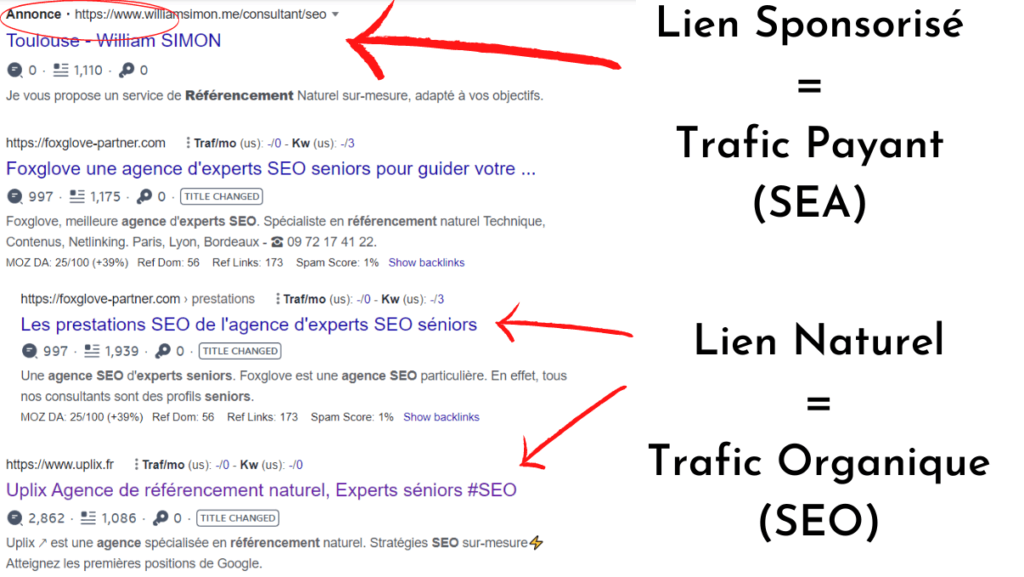 Trafic SEO vs Trafic payant