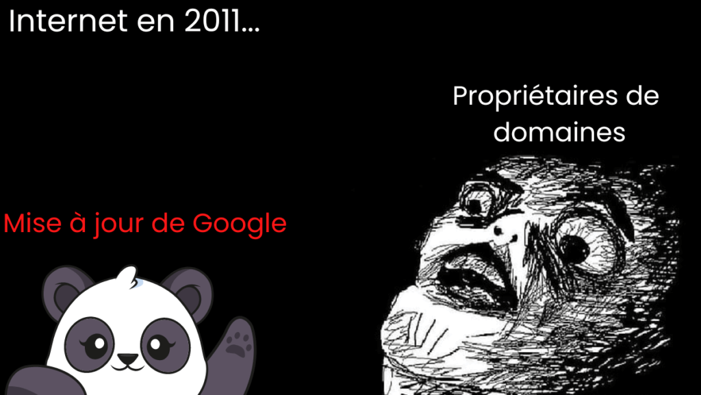 Google Panda (1)