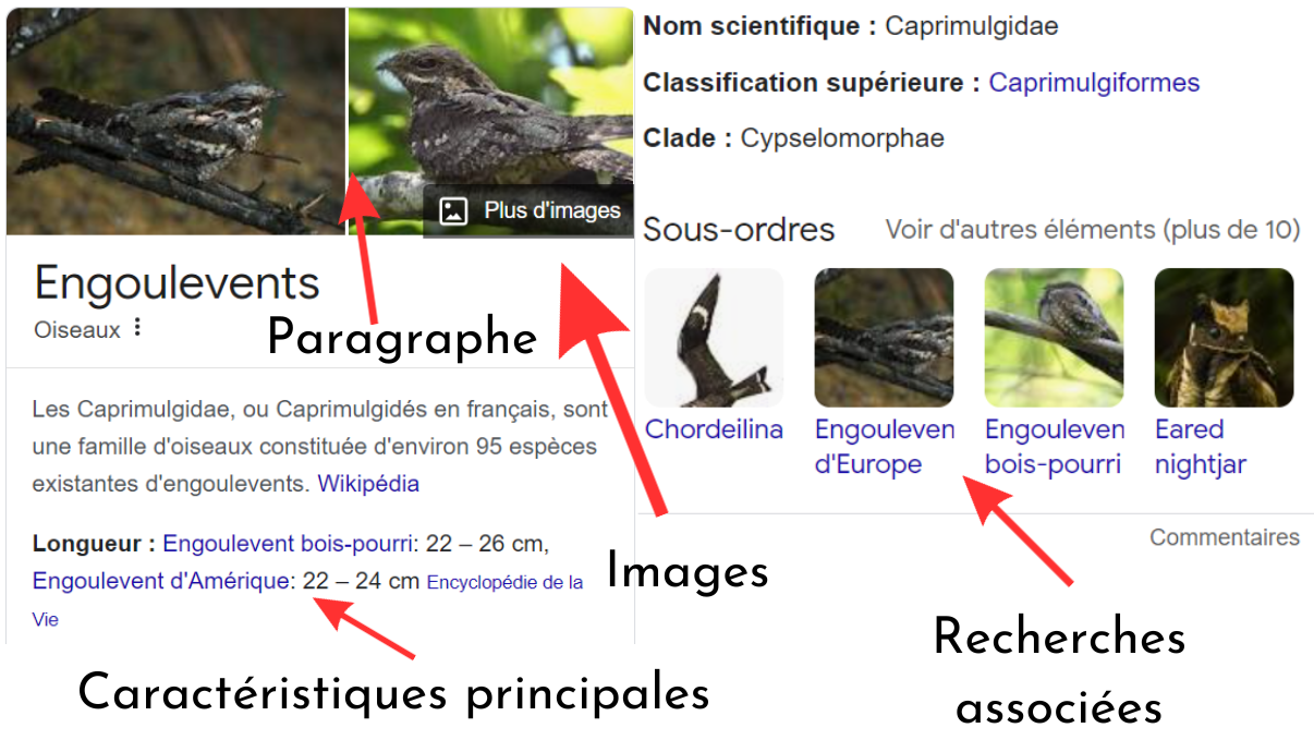 Knowledge Graph exemple