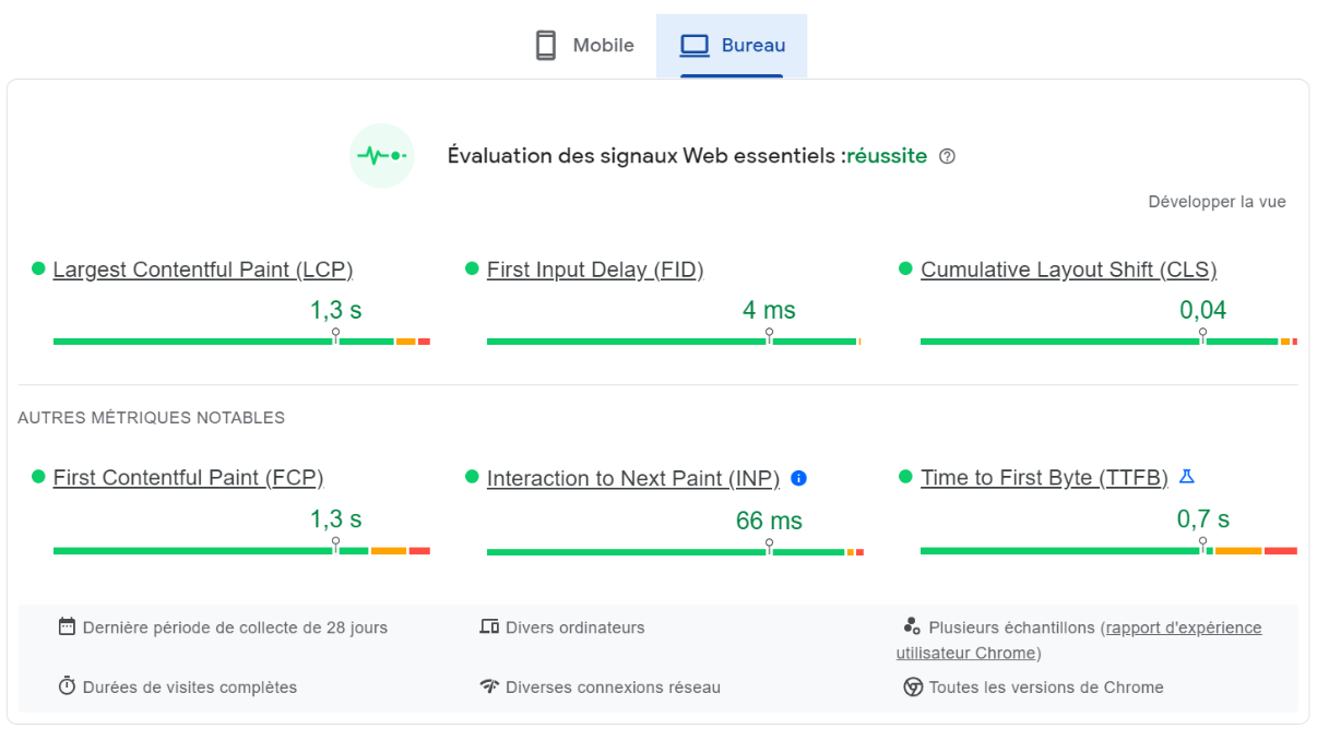 PageSpeed Insights exemple