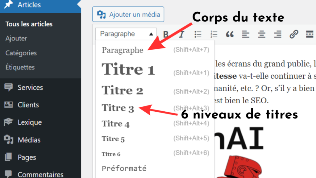 Balises HN sur WordPress