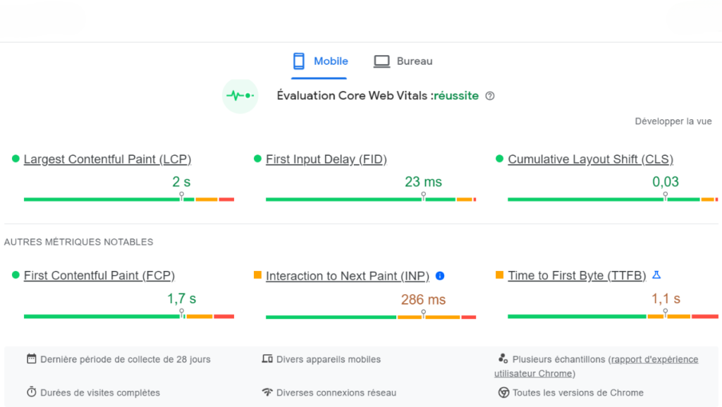 Page Speed Insights exemple avec les Core Web Vitals