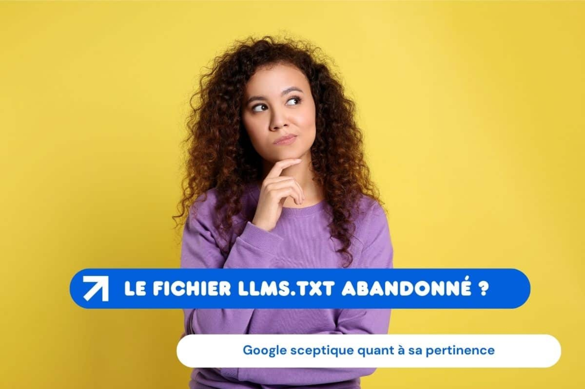 abandon-fichier-llms-txt