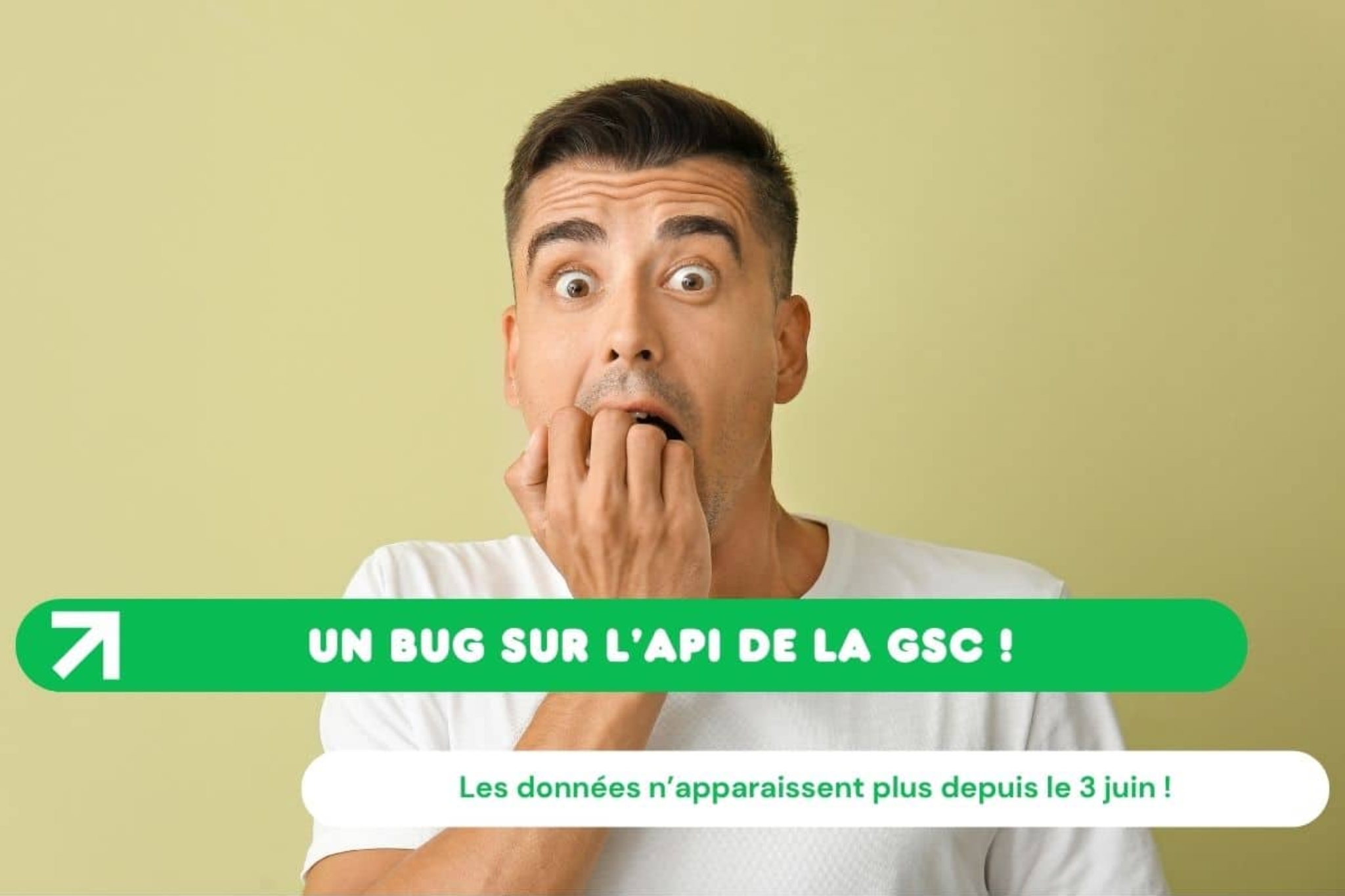 Un bug sur l'api de la gsc empêchent les données d'apparaître depuis le 3 juin 2025