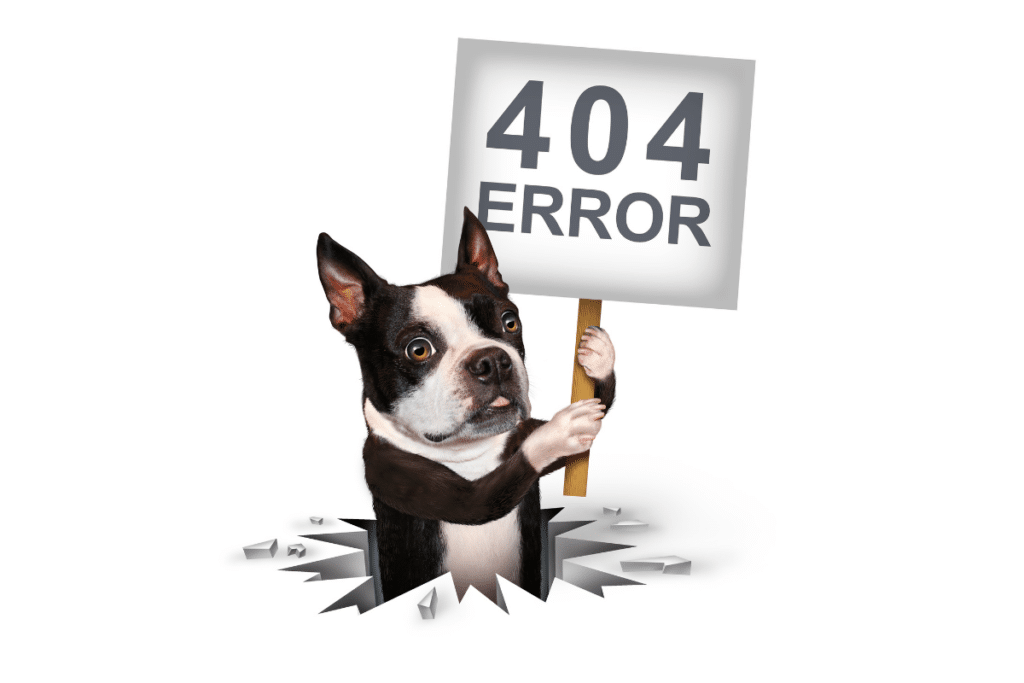 erreur 404 and AI
