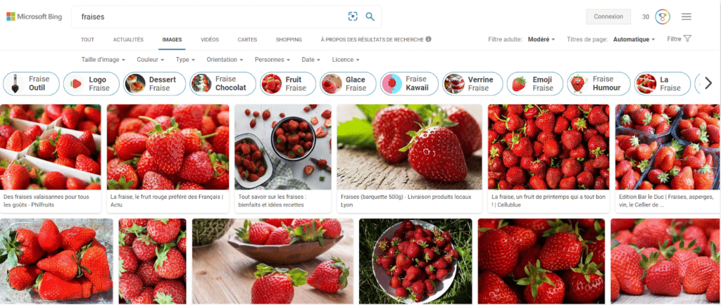 Bing,Bing vs google