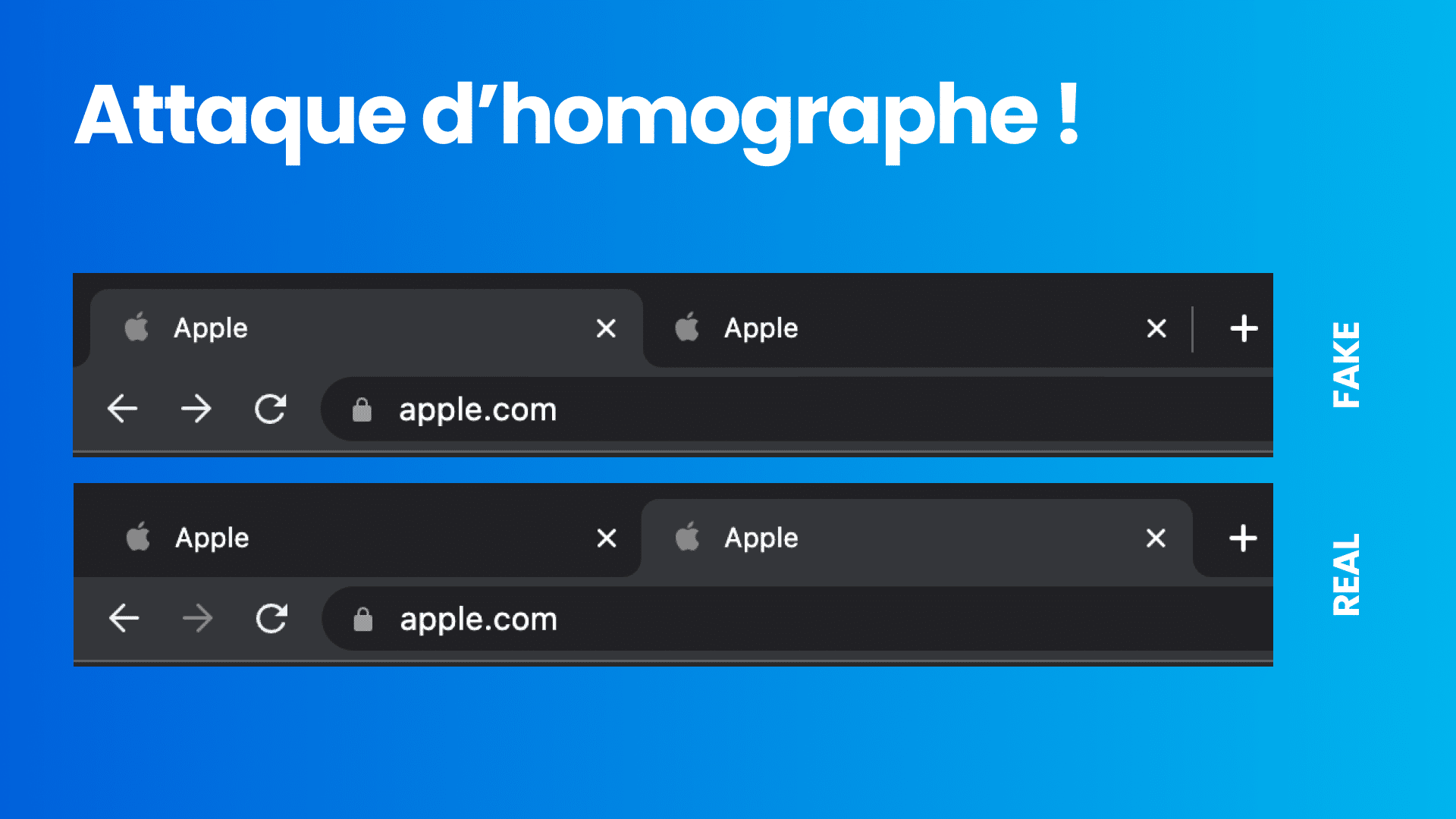 astuce seo
