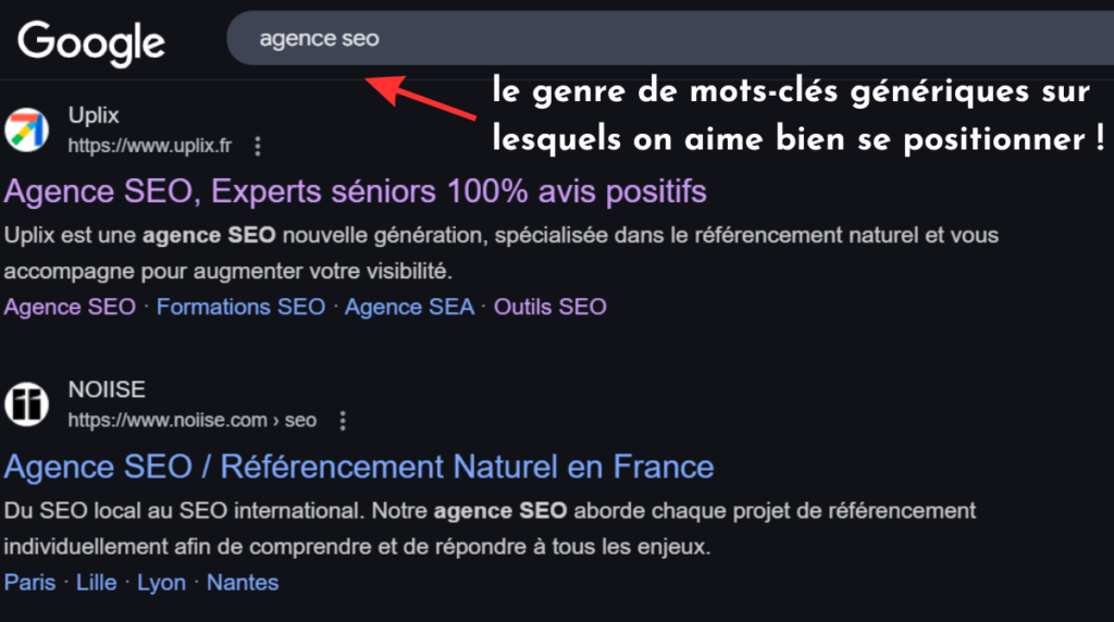 exemple de mot-clé saisi en requête