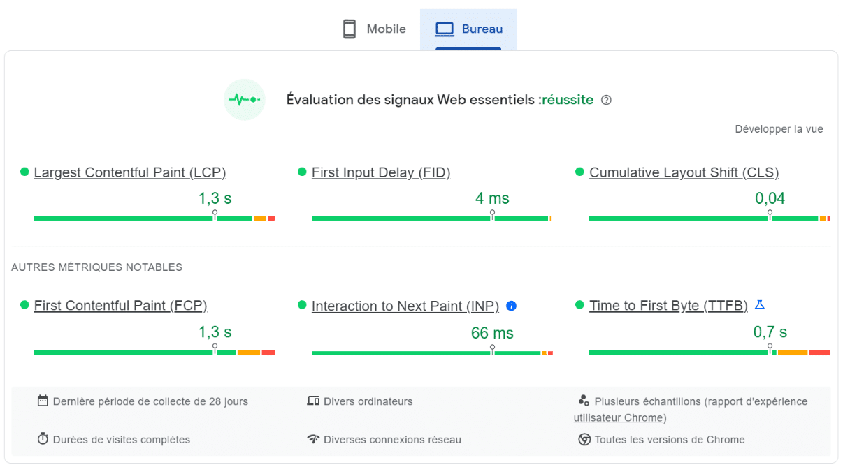 PageSpeed Insights exemple
