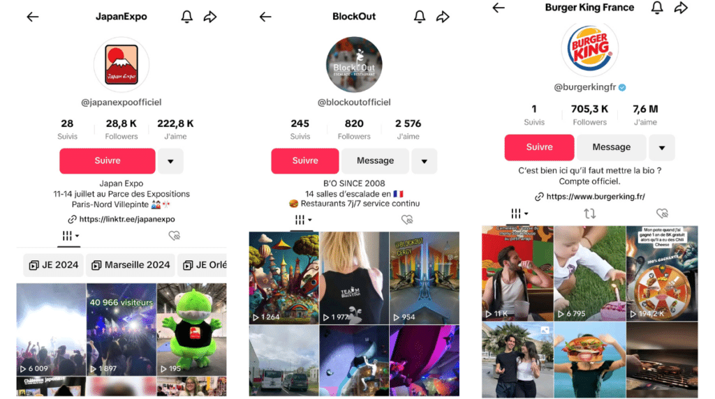 Exemples de comptes et de bio TikTok